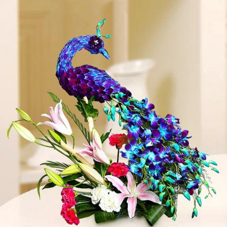 Peacock arrangement