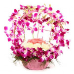 Vibrant Orchid Celebration